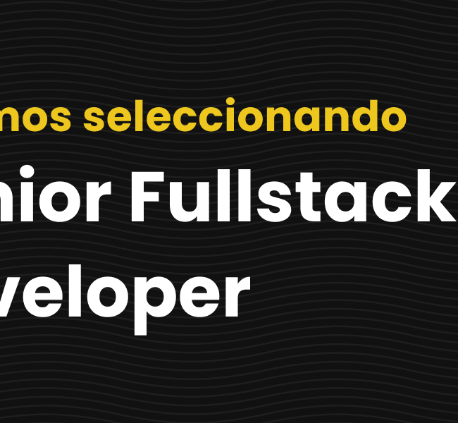 senior fullstack developer